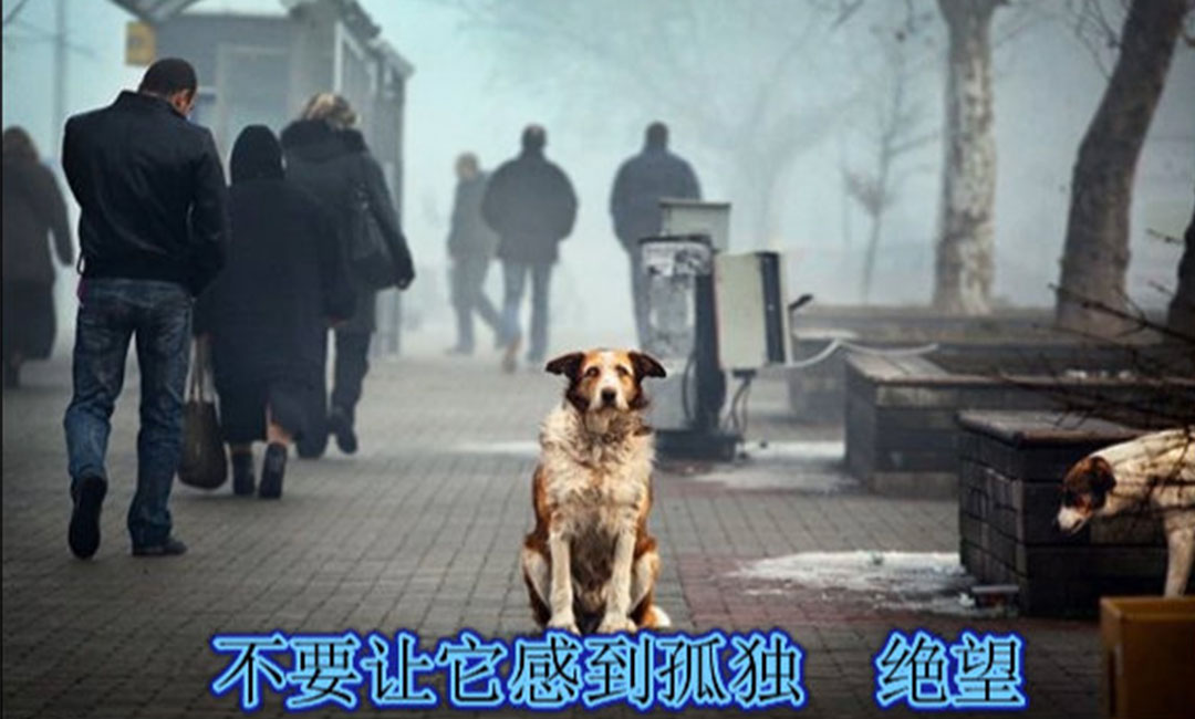 湖南湖南爱影圈微博微信转发案例